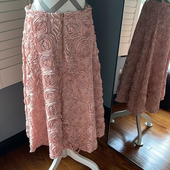 Anthropologie Skirt - Picture 2 of 5